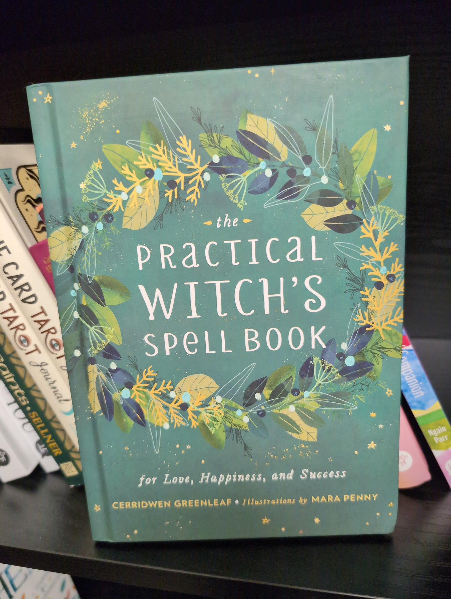 Practical Witch's Spellbook