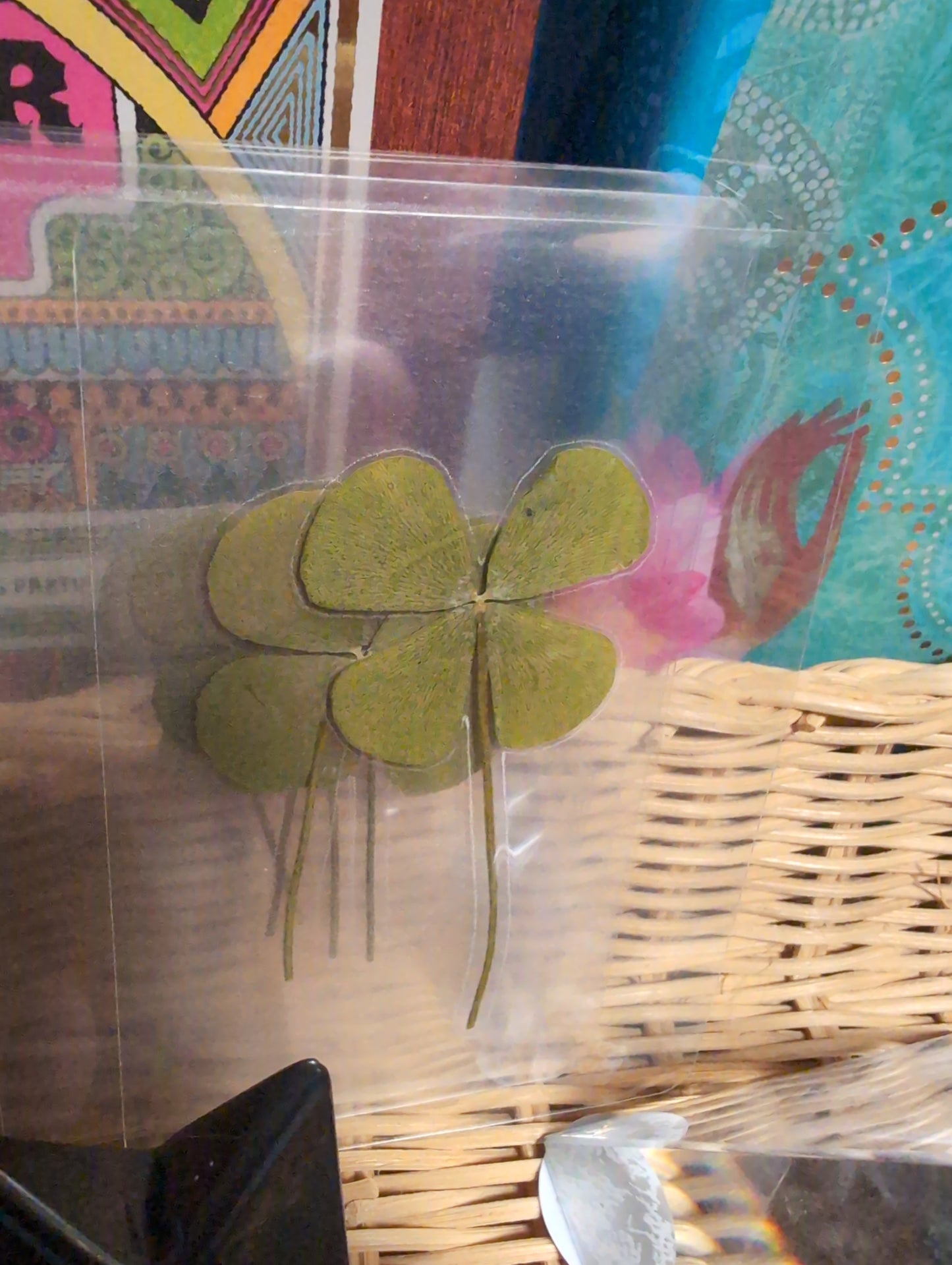 Preserved 4 leaf clover