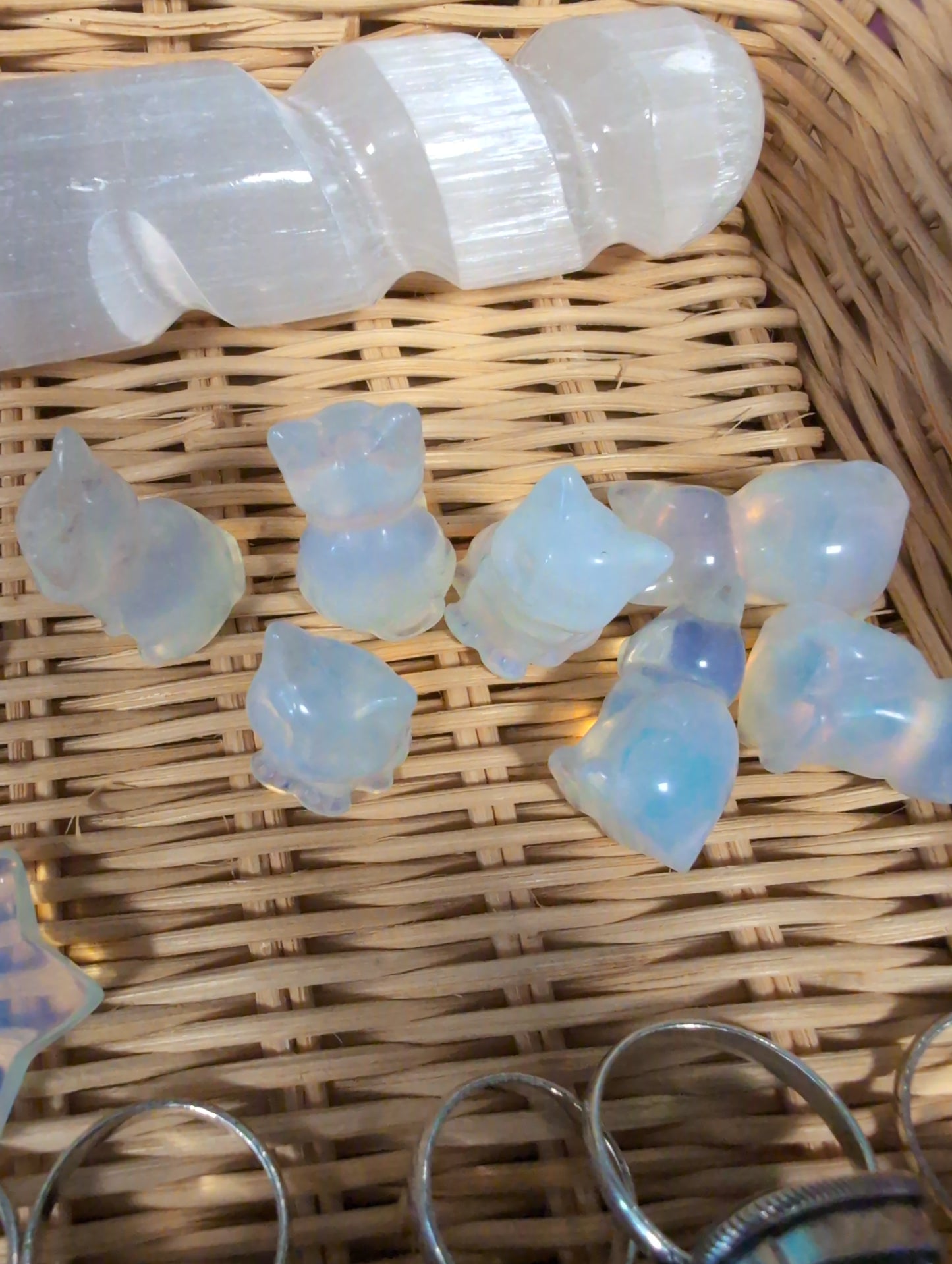 Opalite cat