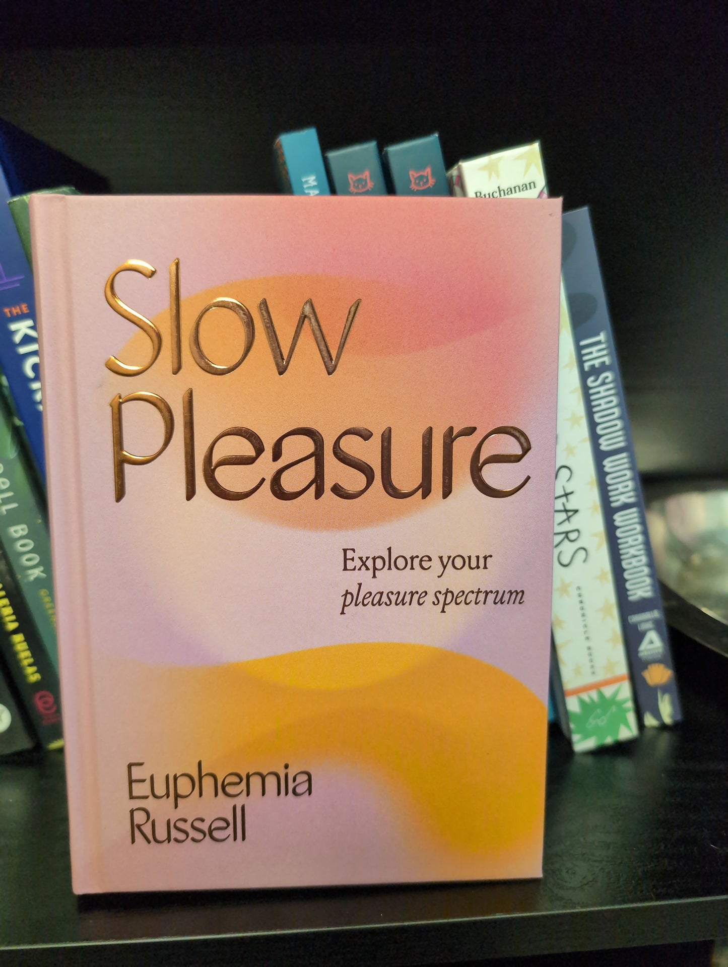 Slow Pleasure book