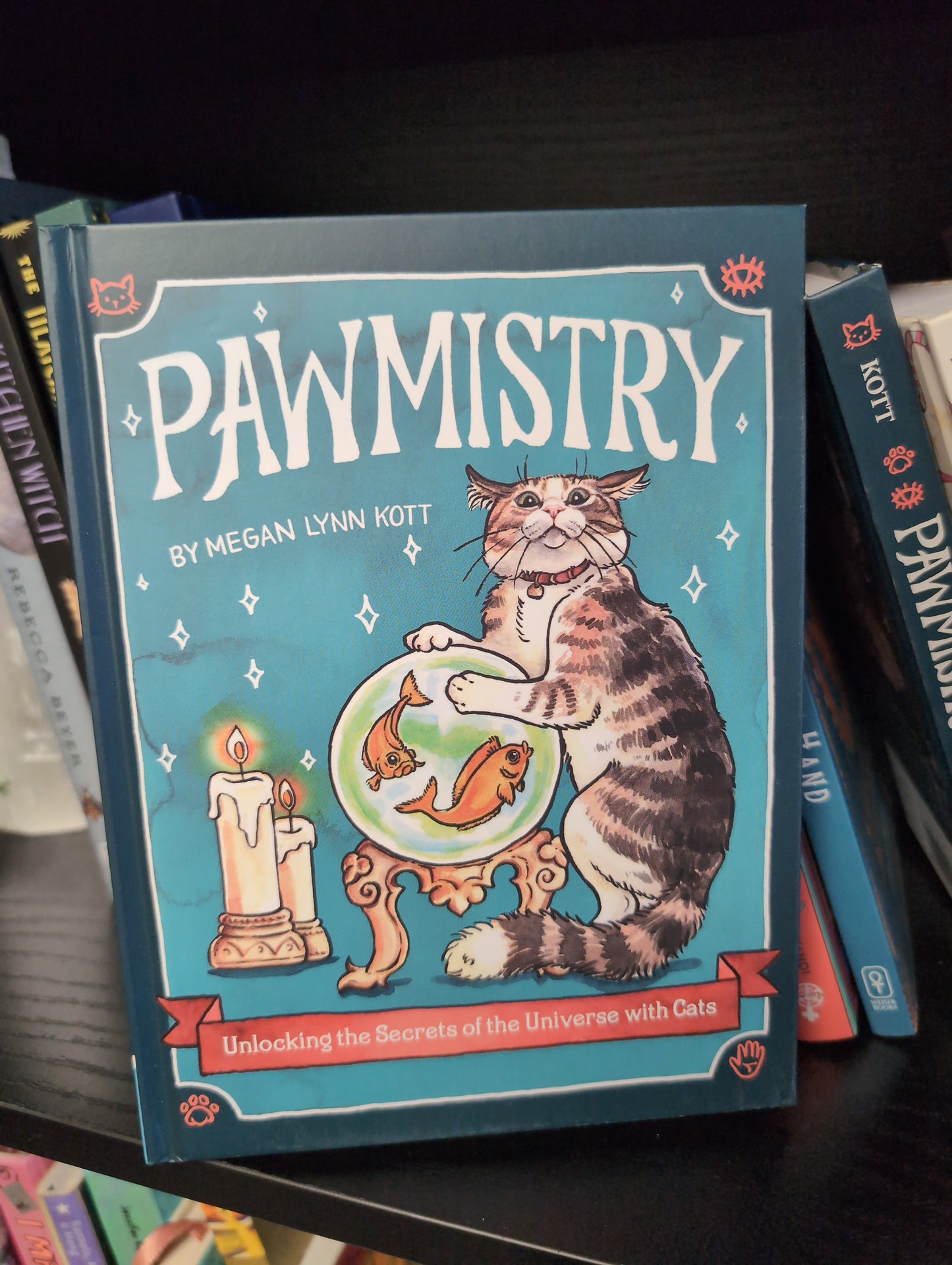 Pawmistry book