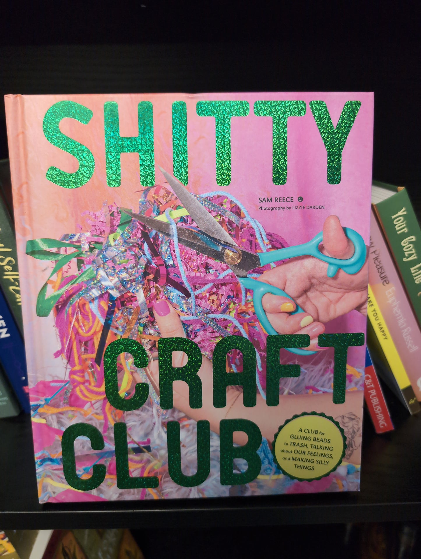 Sh!tty Craft Club book